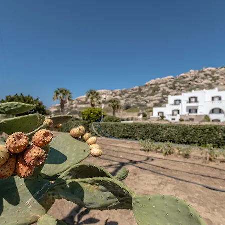 Zefyros Aparthotel 3*