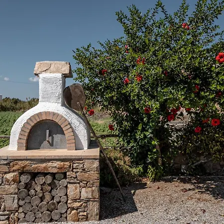 Aparthotel Zefyros Plaka (Naxos)